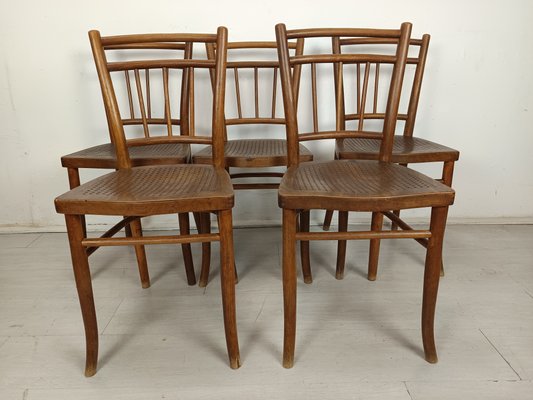 Sedie da bistrò vintage di Thonet, anni '20, set di in vendita