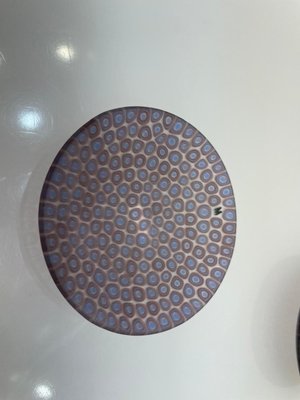 Ercole Moretti ガラスプレート 円形　24cm Moretti Dishes by Ercole Moretti, Set of 8 for sale at Pamono
