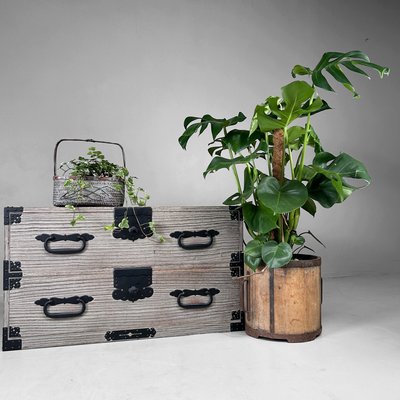 Vintage Japanese Ikebana Hanakago Flower Basket in Bamboo, 1960s