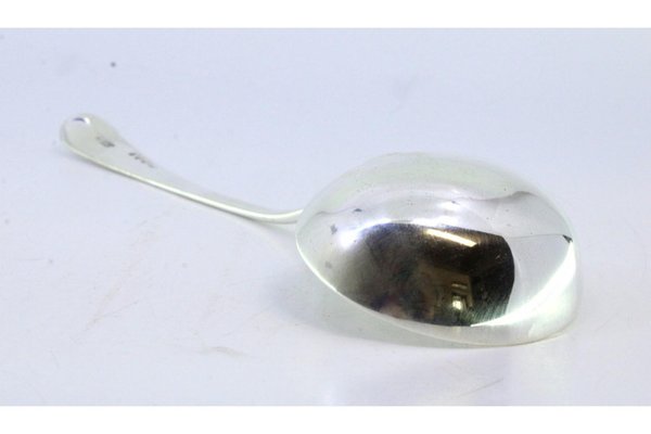 Cucchiaio da salsa in acciaio inox