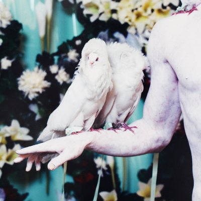 Matthew Barney, Cremaster 5: Her Giant, 1997, C-Print, Framed for