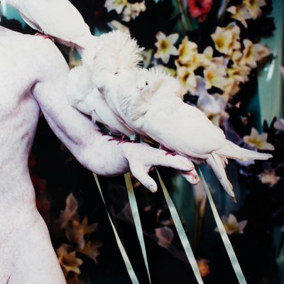 Matthew Barney, Cremaster 5: Her Giant, 1997, C-Print