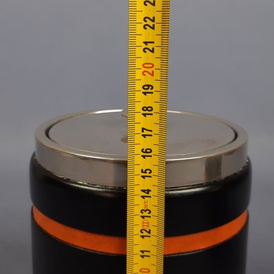 Thermos for Drinks and Ice, 1970s, Set of 2 for sale at Pamono