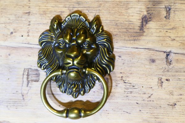 Gothic Lions Mask Brass Door Knocker, 1960 for sale at Pamono