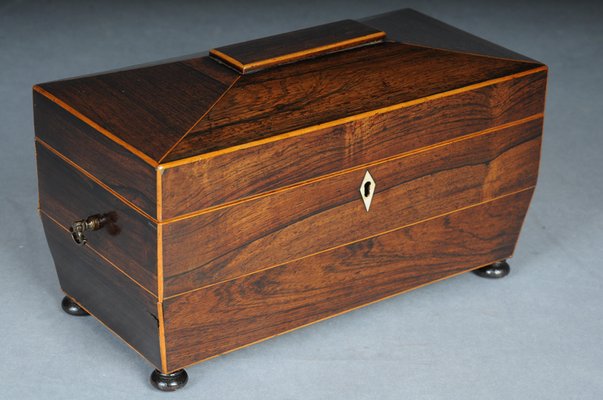 Antique English Regency Box, 1830s for sale at Pamono