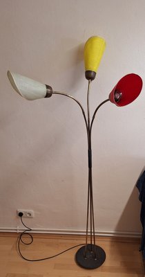 Mid-Century German Floor Lamp with Brass Frame with Flexible Arms