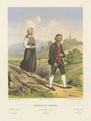 Norwegian Folk Costumes from Aal in Hallingdal Tønsberg, 1860s, Paper for sale at Pamono