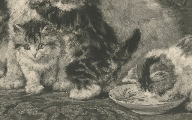 Henriette Ronner, Mother's Love: Cats and Kittens, 1894, Print for
