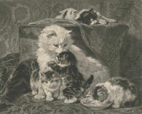 Henriette Ronner, Mother's Love: Cats and Kittens, 1894, Print for