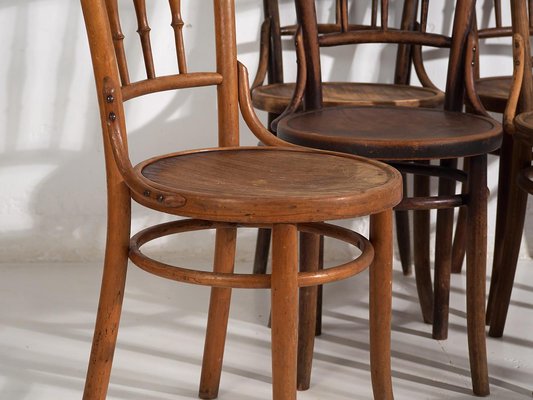 Vintage Bentwood Dining Chairs, 1920, Set of for sale at Pamono