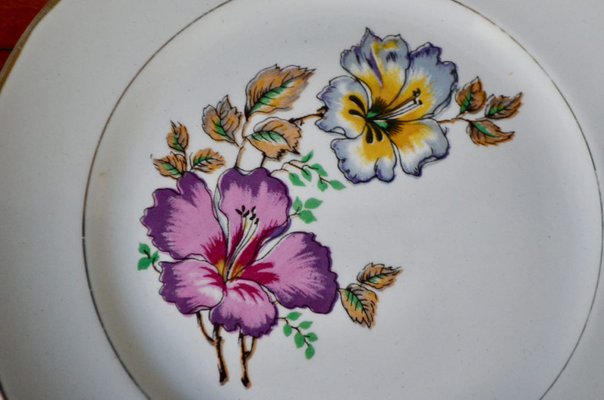 Vintage Dinnerware Service from Moulin des Loups, Orchies, France