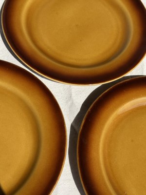Dunkelbraune & Gelbe Steingut Teller, 1980er, 11 . Set bei Pamono kaufen