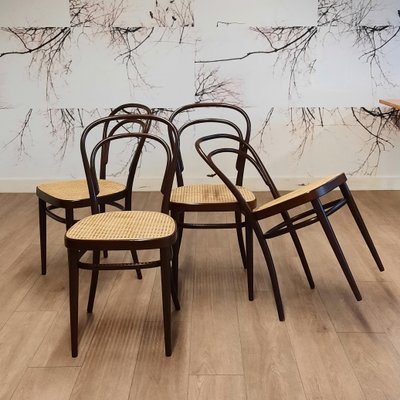 214 R Chairs by Michael Thonet/Paul Stanoβek for Thonet, 1990s