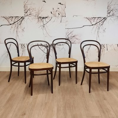 214 R Chairs by Michael Thonet/Paul Stanoβek for Thonet, 1990s