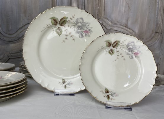 Vintage Porcelain Service by Richard Ginori, 1960s, Set of 25 for