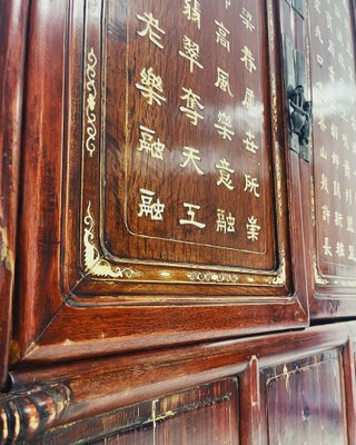 Antique Chinese Cabinet in Wood for sale at Pamono