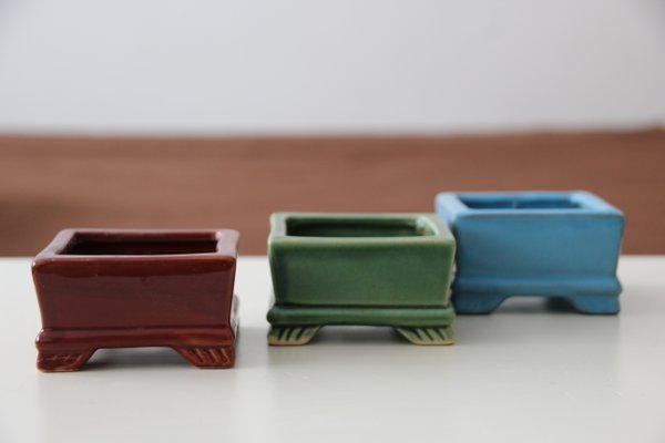 Japanese Ceramic Bonsai Plant Pots, 1990s, Set of 10 for sale at Pamono