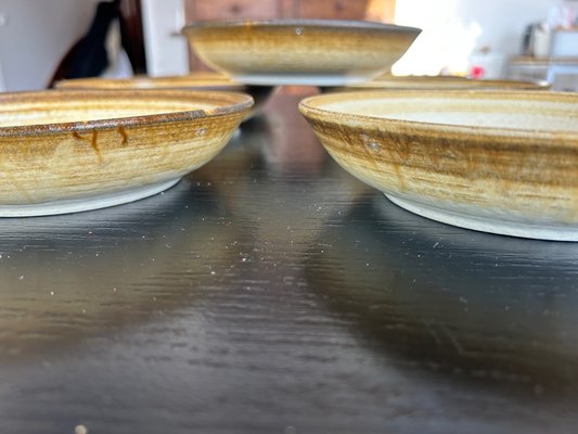 Dinnerware Set from Longchamp, 1970s, Set of 42 for sale at Pamono