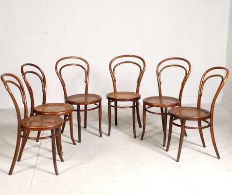 Dining Chairs Thonet Sedie N14 Legno Sedia Thonet 14 Sedie 14 Di