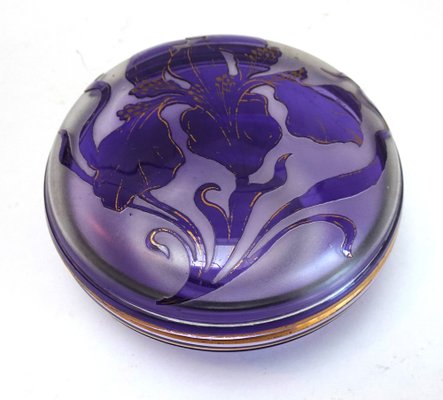 Art Nouveau Cameo Crystal Box by Philippe Wolfers for Val Saint Lambert,  1890s