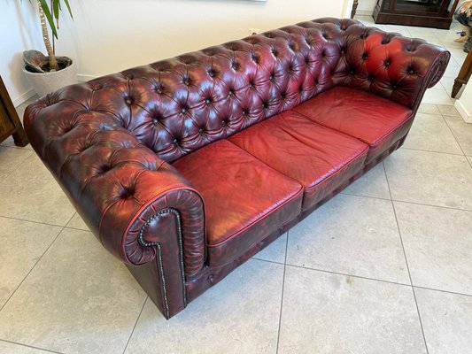 Vendo Divano Chesterfield Divani Usati Offerte Divano Chesterfield