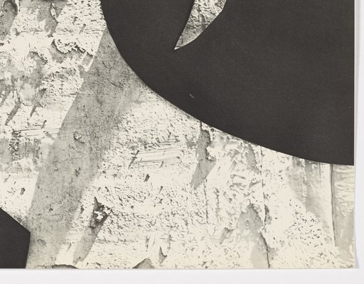 Pablo Picasso, Diurnes 