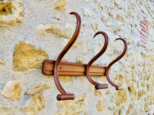 Bentwood Wall-Mounted Coat and Hat Rack by Japy Frères, 1920s for