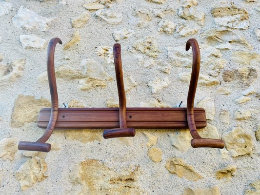 Bentwood Wall-Mounted Coat and Hat Rack by Japy Frères, 1920s for