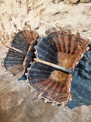Vintage French Wicker Grape Harvest Baskets, 1930s, Set of 2 for