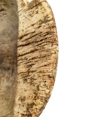Große rustikale handgeschnitzte Holz Teigschüssel, 1890er bei Pamono kaufen