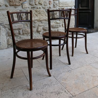 Bentwood Rattan Cane Chairs from Fischel, Early 20th Century, Set of
