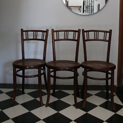 Bentwood Rattan Cane Chairs from Fischel, Early 20th Century, Set of