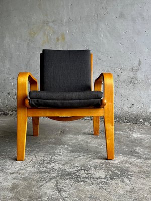 FB-05 & FB-06 Lounge Chairs by Cees Braakman for Pastoe, 1950s