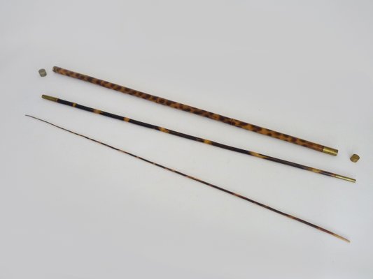 Walking Stick with Bamboo Fishing Rod System, 1890s for sale at Pamono Walking Stick with Bamboo Fishing Rod System, 1890s for sale at Pamono