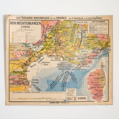 Antique French Wall Map of Mediterranean South France and Corsica