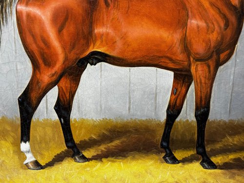 Samuel Spode, Victorian Equine Portrait of William the Conqueror