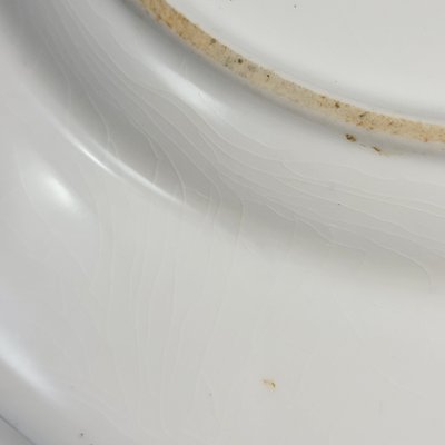 Fruit Cabinet Plate by R. Sebright for Royal Worcester / Maple