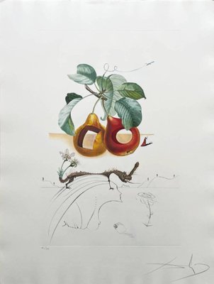 Salvador Dali, Holed Fruit from Flordali Suite, 1969, Lithograph