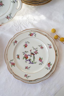 French Limoges Porcelain Dinnerware Set with Bird of Paradise