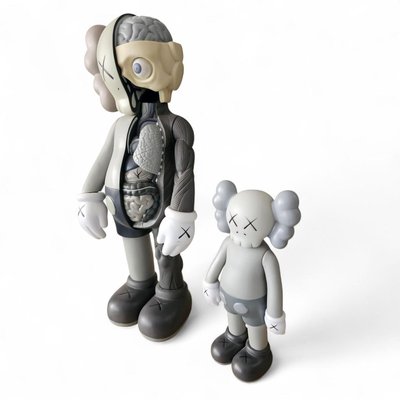 Dissected Companion by Og Kaws for Medicon, 2006 for sale at Pamono