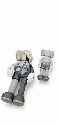 Dissected Companion by Og Kaws for Medicon, 2006 for sale at Pamono