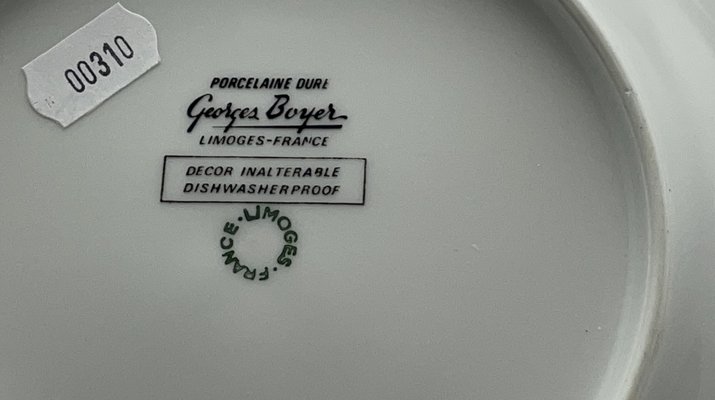 Vintage Limoges Hard Porcelain Plates by Georges Boyer, 1960s, Set
