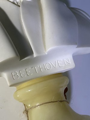 Marble Dust Bust of Beethoven by A. Giannelli, 1960s for sale at