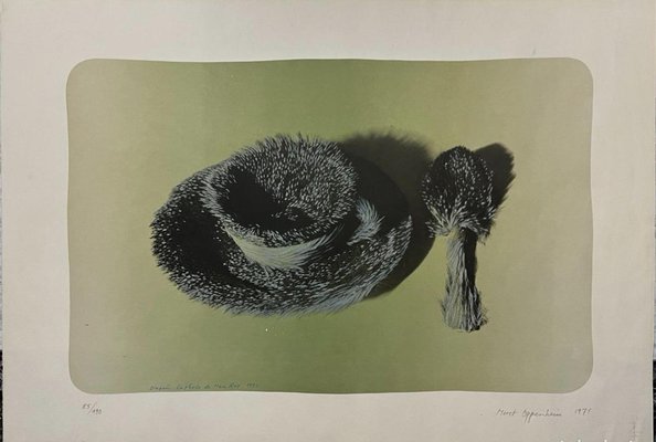 Meret Oppenheim, Composition, Color Lithograph, 1971 for sale at
