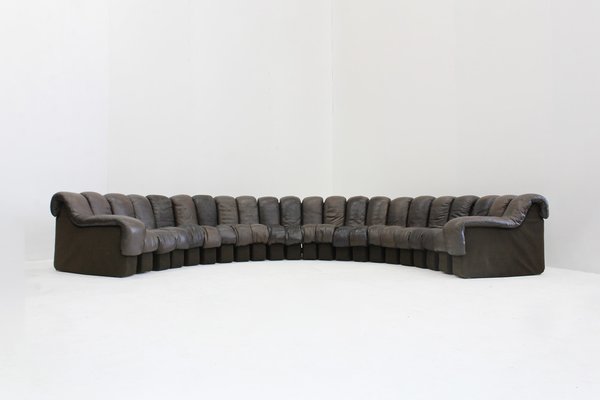 Vintage DS-600 Non Stop Snake Sofa from de Sede, 1970s, Set of 22