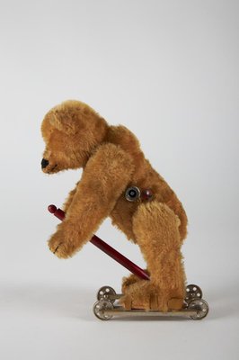 Etats-Unis: Un photographe fait fuir un ours brun en lui criant dessus
