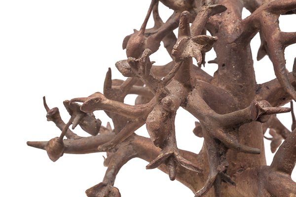 Baobab Tree Sculpture, 1930s, Bronze for sale at Pamono