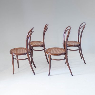 Antique Bentwood and Cane Dining Chairs by Josef Hoffmann, 1900s