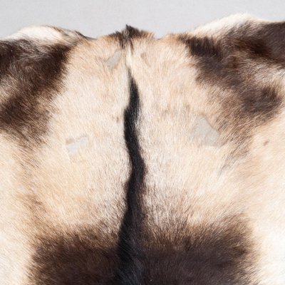 Naturel Marron Foncé Chèvre Cachette Tapis
