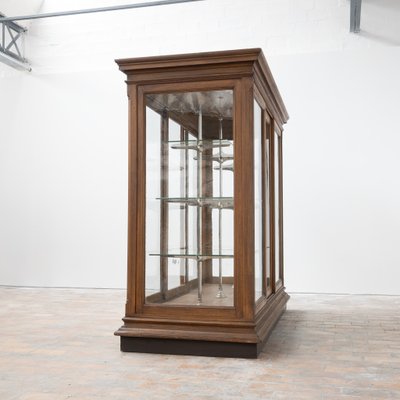 Museum Display Case, France, Early 20th Century for sale at Pamono